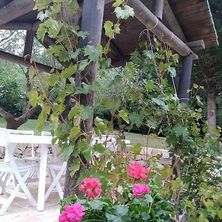 Trulli Gloria Nocleg ze śniadaniem 4*
